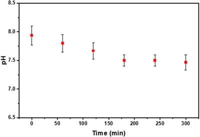 Combination of ozone-based advanced oxidation process and nanobubbles generation toward textile wastewater recovery